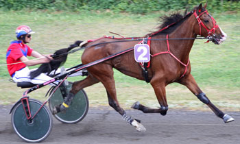 Anice du Chaillou