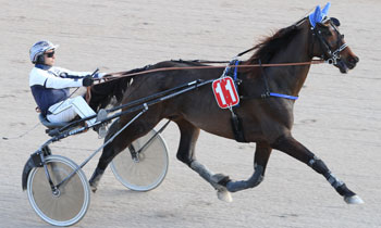 Tonus du Logis