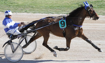 Saxo de Breteil
