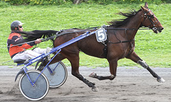 Almondo Rich