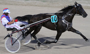 Saphir du Fournier
