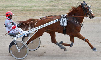 Soliman du Corbon