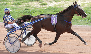 Brio de Malte