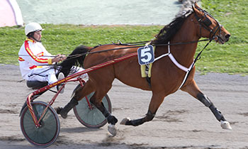 Tornedeau