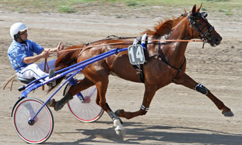 Titou du Brandard