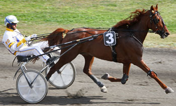 Belle Brisbane (TF)