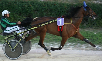 Hudson Somolli