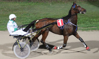 Vasco Jet