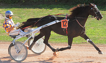 Takinou d'Axel