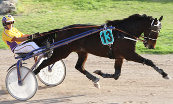 Ulysse du Tilloy