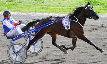 Grinnebys Olga