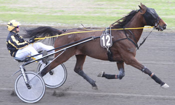 Swing du Domaine