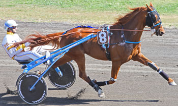 Timoudy de Littry
