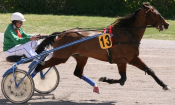 Igor du Braud