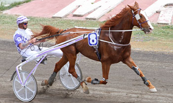 Voyou de Villemer