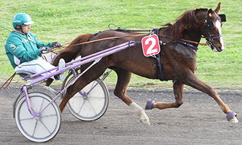 Soleil Sautreuil