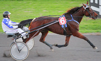 Banker's Garcon