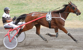 Tresor d'Anardel
