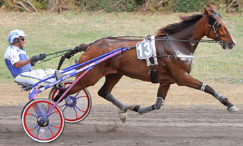 Tillenium du Val