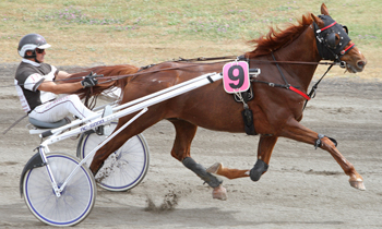 Tchao Fouteau