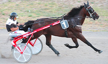 Relight My Fire