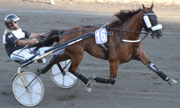 Ulblak du Bocage