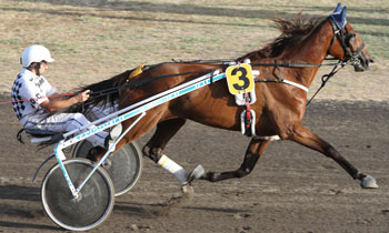 Calinka Wind