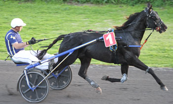 Lillen Sisu