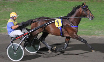 Ulk d'Arcy