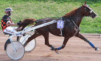 Valman de Joflo