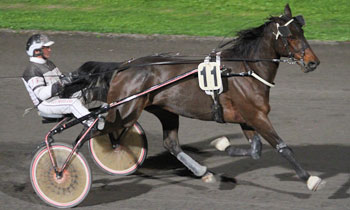 Stefan Laday