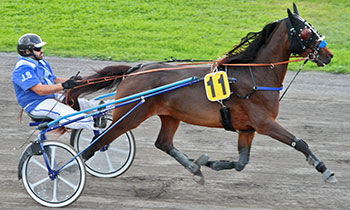 Caprice Normand