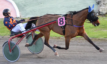 Alcaline des Caux
