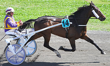 Ulf Haie Neuve