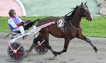 Twist des Pleignes