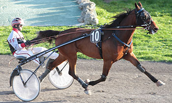 Vaillant Marceaux