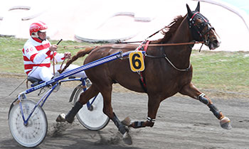 Caballero