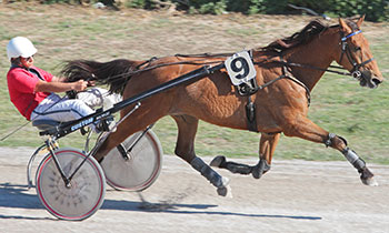 Un Reve d'Haufor