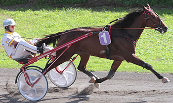 Anterior Express