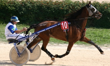 Kancho d'Occagnes