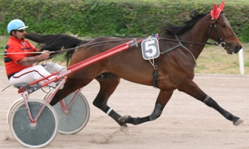 Le Cinq Mai