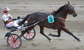 Black Jack B.