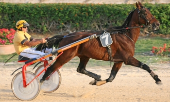 Kalipso