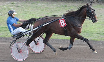 Ursin du Moulin