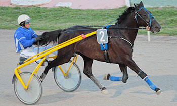 Diamant d'Haufor