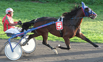 Proserpine