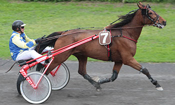 Baron d'Aalter