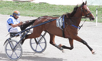 Agenor