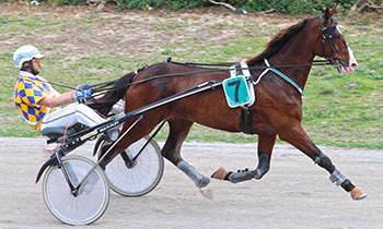 Ulysse du Bouchet
