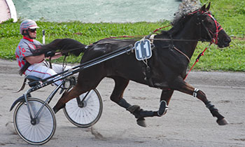 Brio des Genievres